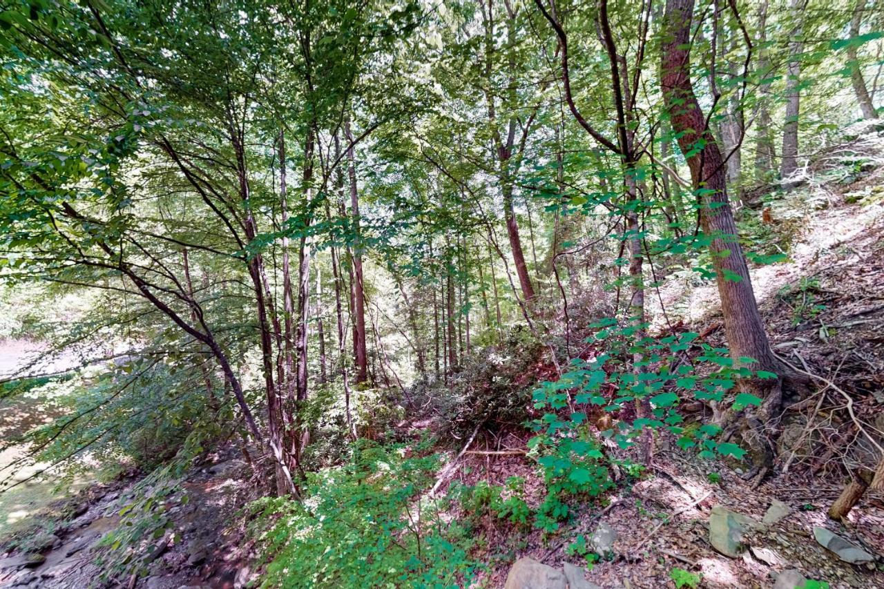 Hiker'S Hideaway Villa Gatlinburg Cameră foto